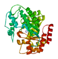 Bovine adenosine deaminase