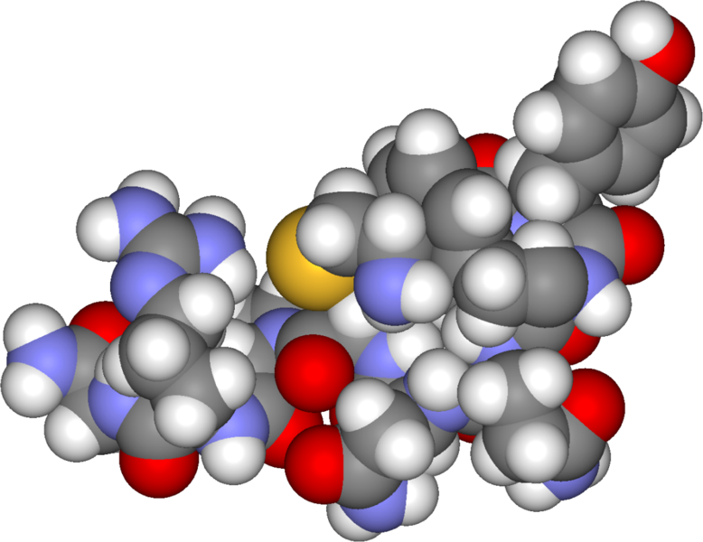 File:Arginine vasopressin3d.png