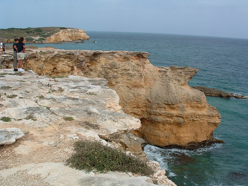 File:Cabo Rojo limestone cliffs.jpg