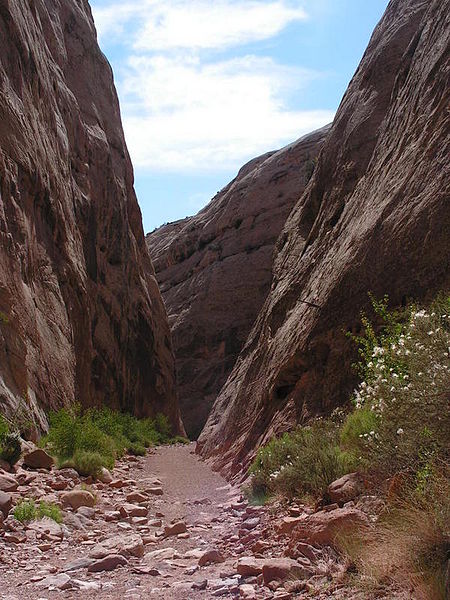 File:CapitolGorgeCapitolReefNP.jpg