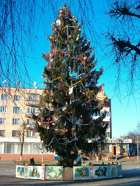 File:Kostopil, New year tree.jpg