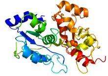 PDB 3OLH mercaptopyruvate sulfurtransferase.png