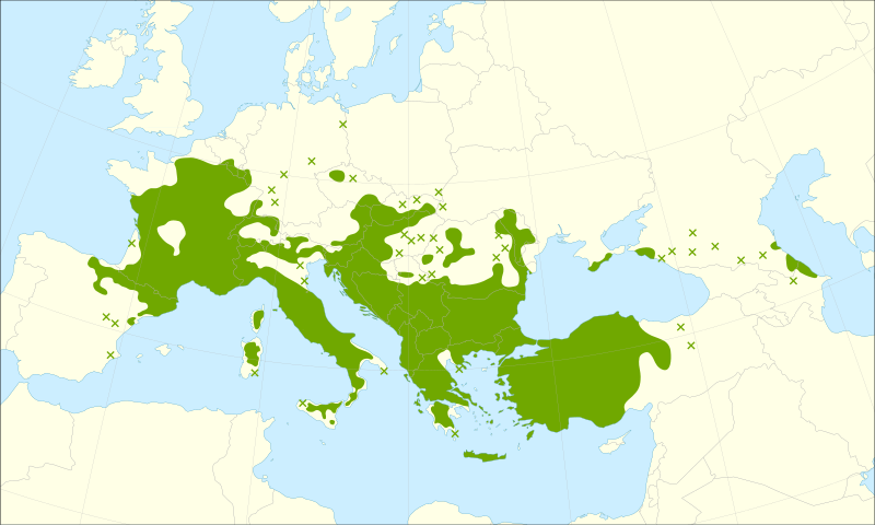 Archivo:Quercus pubescens range.svg