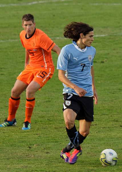 File:Schaars Cavani (cropped).jpg