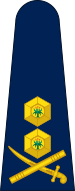 File:SouthAfrica-Police-OF-7.svg