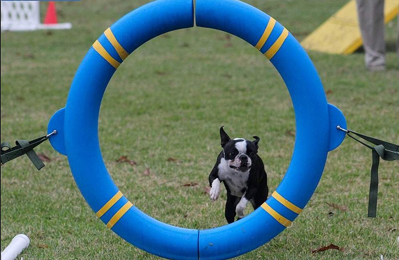 File:Tire jump.jpg