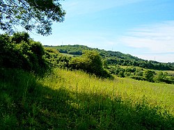 Only 20 km from the capital center, Vrčin is a peaceful village with a stunning countryside