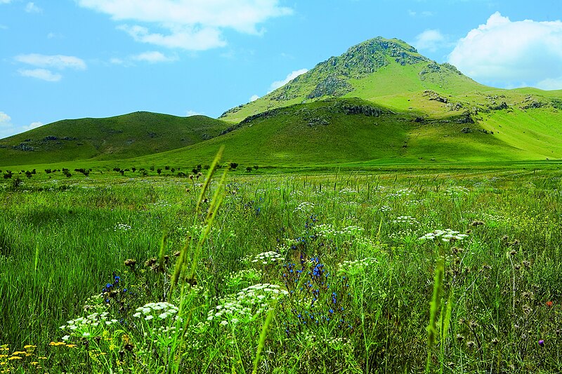 File:Arteni Volcano2.jpg