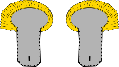 File:Epaulettes major.svg