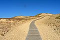 Image 3Sand dunes in the Curonian Spit