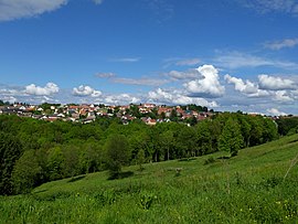 Village view