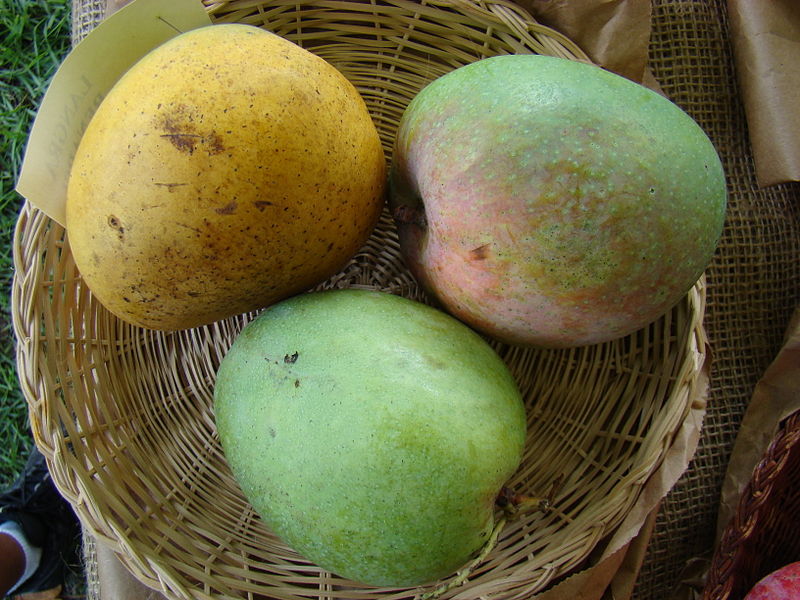 File:Mango LangraBenarsi Asit fs8.jpg