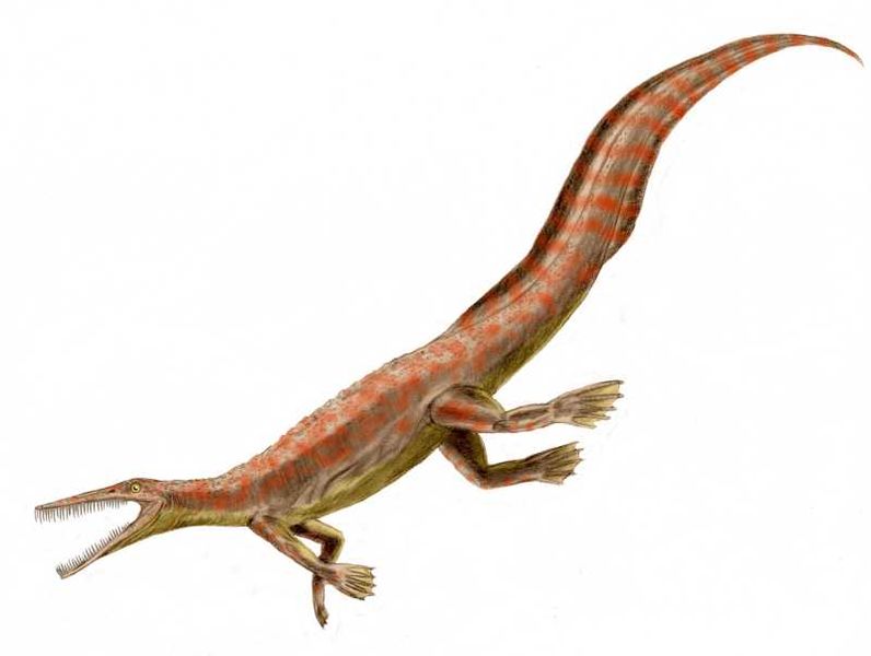 File:Mesosaurus BW.jpg