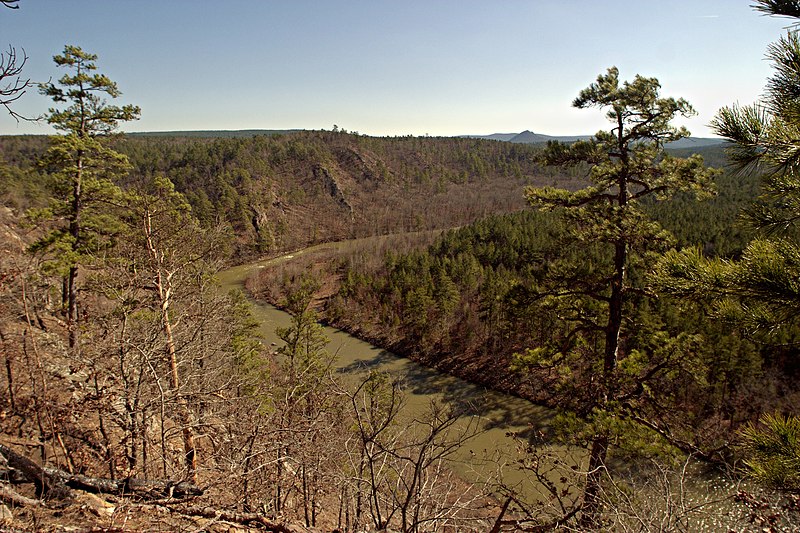 File:Southfourchelafaveriver arkansas 001.jpg