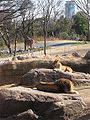 大阪市天王寺動物園