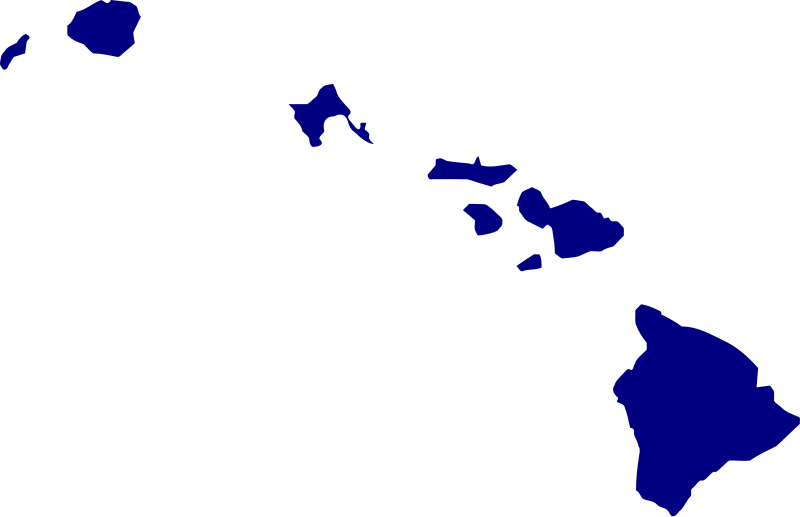 File:2010 House elections Hawaii.svg