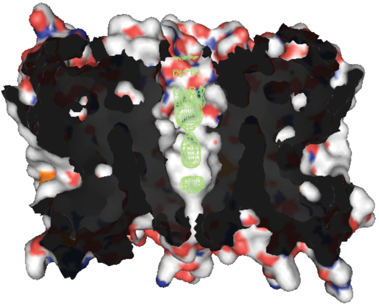 File:Aquaporin Z.png