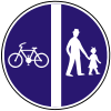 Segregated pedestrian and cycle path