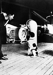 A dog sitting on the deck of a ship, being spoken to by a man in a military uniform