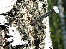 Nail in a tree.jpg