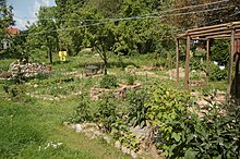 Permaculture garden.JPG