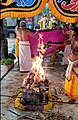 Vedic sacrifice called Homam in the Temple