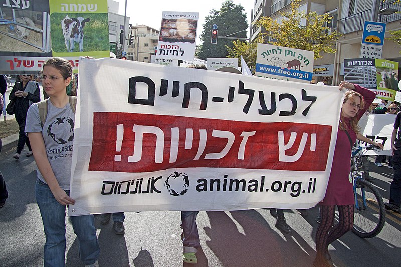 File:Anonymous-AnimalsRights-2011-march01.jpg