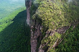 Auyantepui en el estado Bolívar.