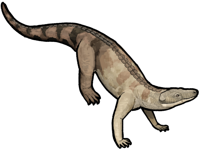 File:Dibothrosuchus elaphros.png