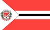 Flag of Dionísio