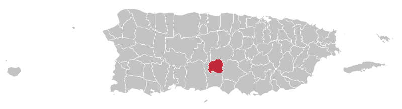 File:Locator-map-Puerto-Rico-Villalba.svg