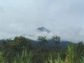 A view of Little Mount Cameroon from the road of Limbe