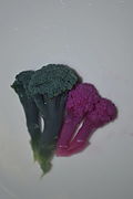 Purple cauliflower soaked in baking soda (left) and vinegar (right). Anthocyanin acts as an pH indicator.