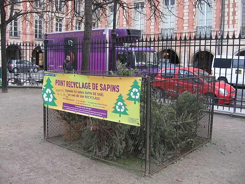 File:Recycletree.jpg