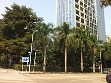 Shenzhen Tianmian Cun.JPG