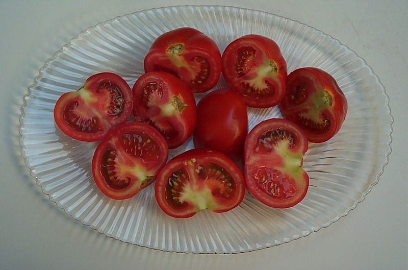 Файл:Tomatoes 1252.jpg