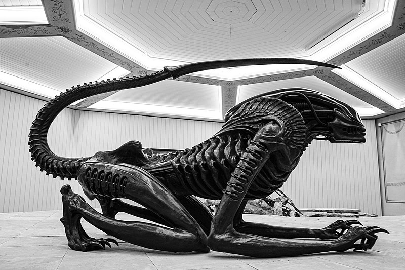 File:Xenomorph (51643425582).jpg