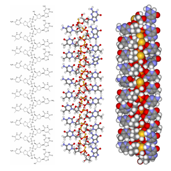 Fomivirsen structure, in skeletal (left), ball-and-stick (centre) and space-filling (right) depictions