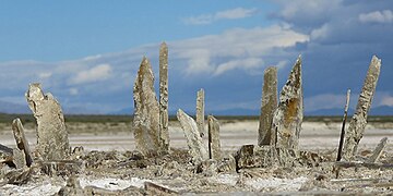 Gypsum crystals that formed as the lake water evaporated