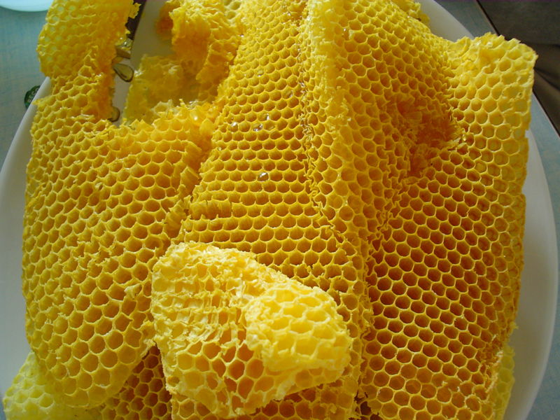 File:Honeycombs-rayons-de-miel-1.jpg