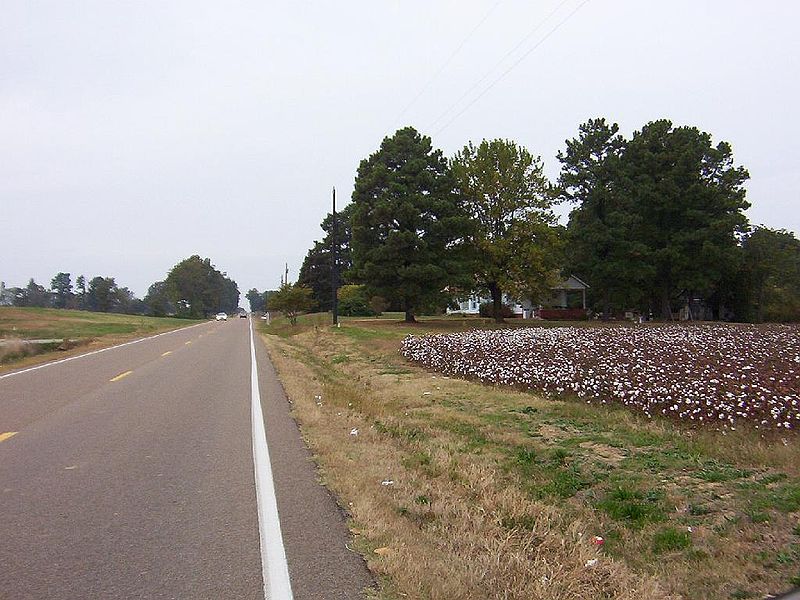 File:Nutbush tennessee cotton field.jpg