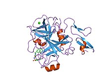 PDB 1f0r EBI.jpg