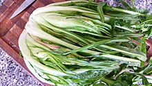 Puntarelle di galatina Puglia with short shoots by Laura Giunta Tobin