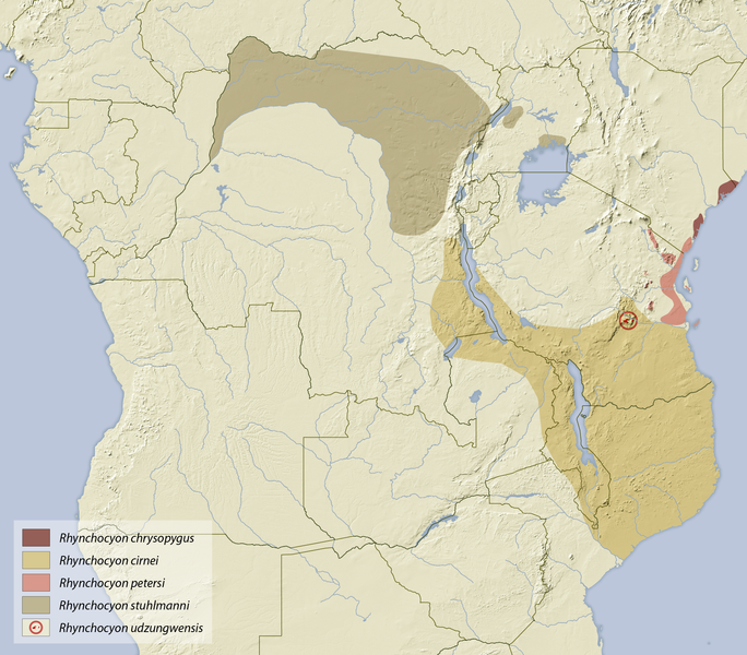 File:Rhynchocyon distribution map.png