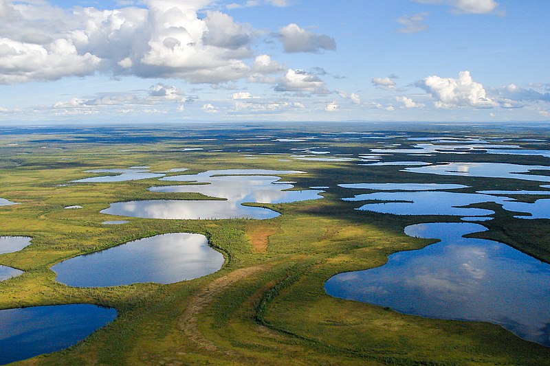 Файл:Vontut National Park.jpg