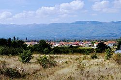 Panoramic view of the village