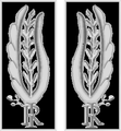 Insignias para uniforme ceremonial