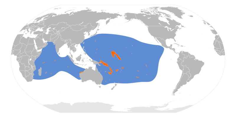 File:Ardenna pacifica map.svg