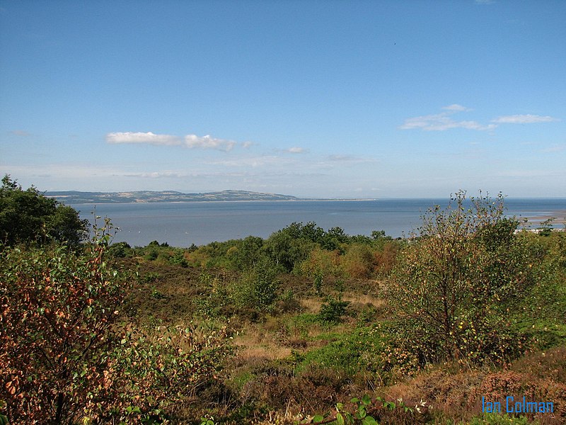 File:Caldy Hill.jpg