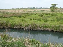 Carlton Marshes 6.jpg